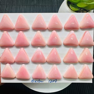 16x16mm Queen Conch Shell Triangle Cabs  • Pack of 2 Pcs • AAA Quality • Flat Back • Queen Conch Cabochons