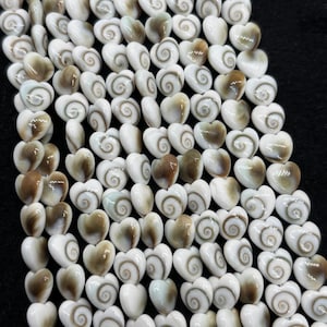 May include: Close-up of a collection of heart-shaped seashells. The shells are primarily white with brown and tan accents, and feature a spiral design. The shells are arranged closely together, suggesting they are part of a larger strand or collection.