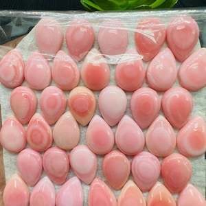 Queen Conch Shell Pear Cabs • 10x14 mm Size • Pack of 2 Pcs • AAA Quality