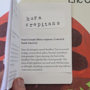 May include: Close-up of a book page with the text "hura crepitans" and a description of the "Fruit Grenade (Hura crepitans, Central & South America)". The text explains that the Sandbox Tree is covered in spikes and produces fruit grenades that explode like a hand grenade, sending seeds 100 feet away at 150 mph.