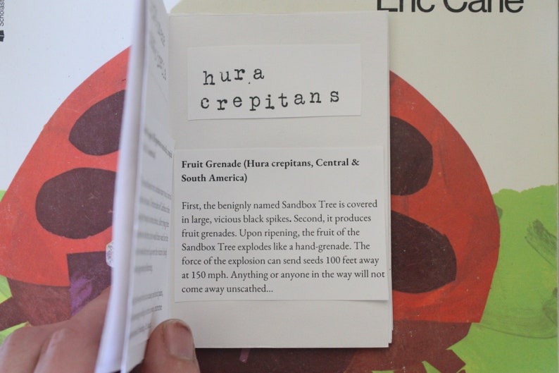 May include: Close-up of a book page with the text "hura crepitans" and a description of the "Fruit Grenade (Hura crepitans, Central & South America)". The text explains that the Sandbox Tree is covered in spikes and produces fruit grenades that explode like a hand grenade, sending seeds 100 feet away at 150 mph.
