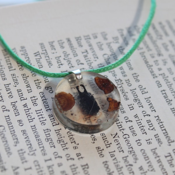 Horned Fungus Beetle Necklace / Preserved Mushroom / Polypore Resin Terrarium / Bizarre Jewelry / Goblincore