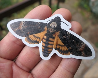 Deathshead Hawkmoth: (Fridge) magnet by Bart Coppens! Custom size.