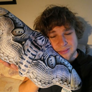 Almohada de polilla: Almohada suave de polilla búho tropical gigante (Brahmaea hearseyi) de Bart Coppens. ¡Coleccionable! - Disponible en tres tamaños: S, M, L