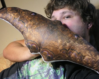Moth Pillow: Black Witch Moth shaped PILLOW! (Ascalapha odorata) Collectible designed by Bart Coppens
