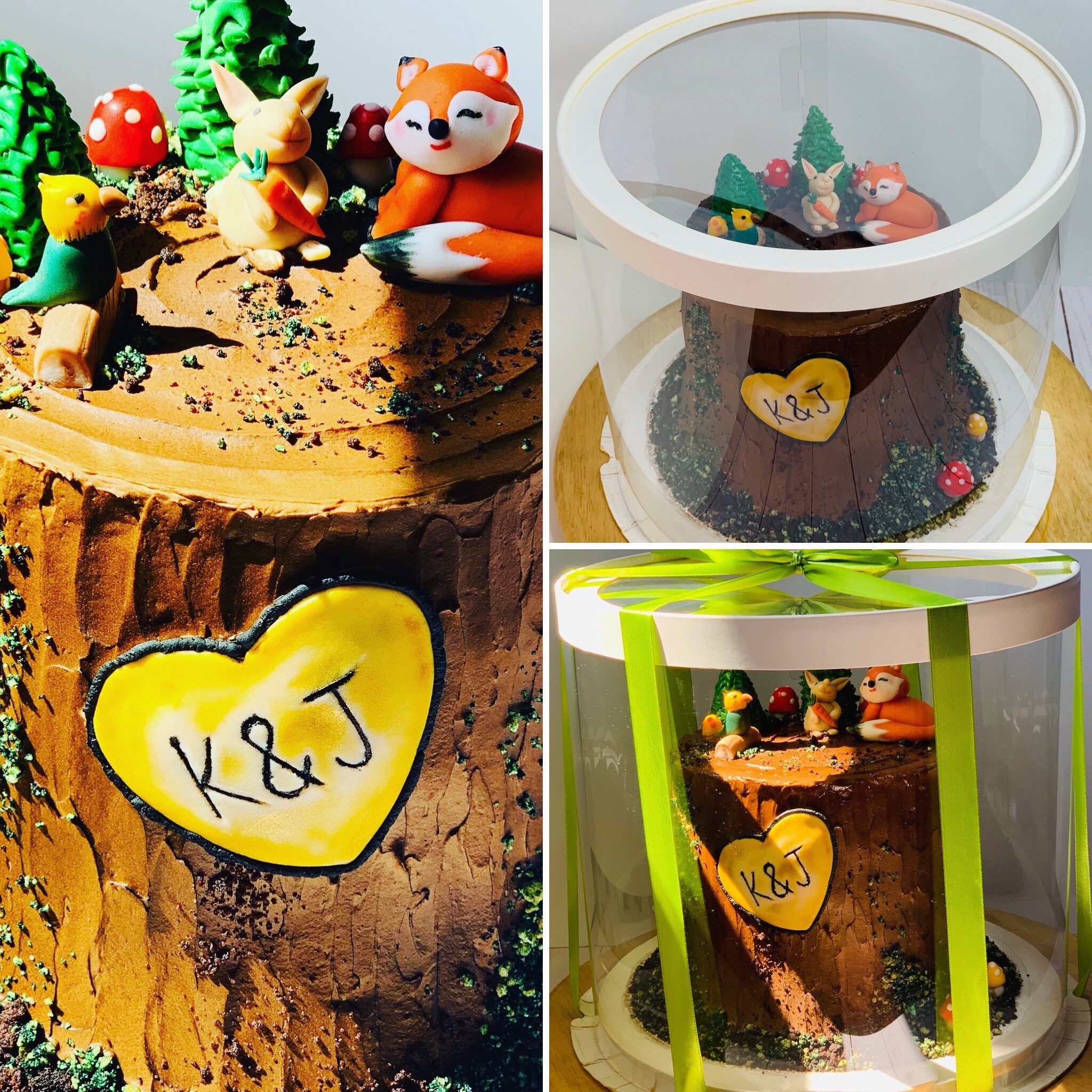 10 clear cake boxes bulk Round clear cake box9.5Height Etsy 10 clear cake boxes bulk Round clear cake box9.5Height Etsy