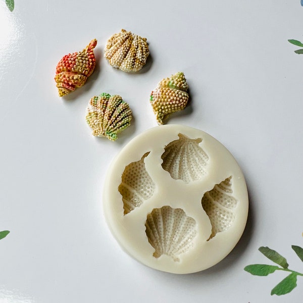 Seashell Mold Etsy
