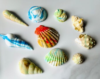 Different Sea Shells Silicone mold for Ocean Sea Themed Cake decoration - Sea Shells Resin Mold - Seashells Clay Mold - Beach Shells Mold