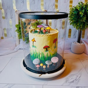 May include: A white cake decorated with a mushroom theme, with colorful mushrooms and green foliage. The cake is displayed in a clear plastic dome on a white cake stand.