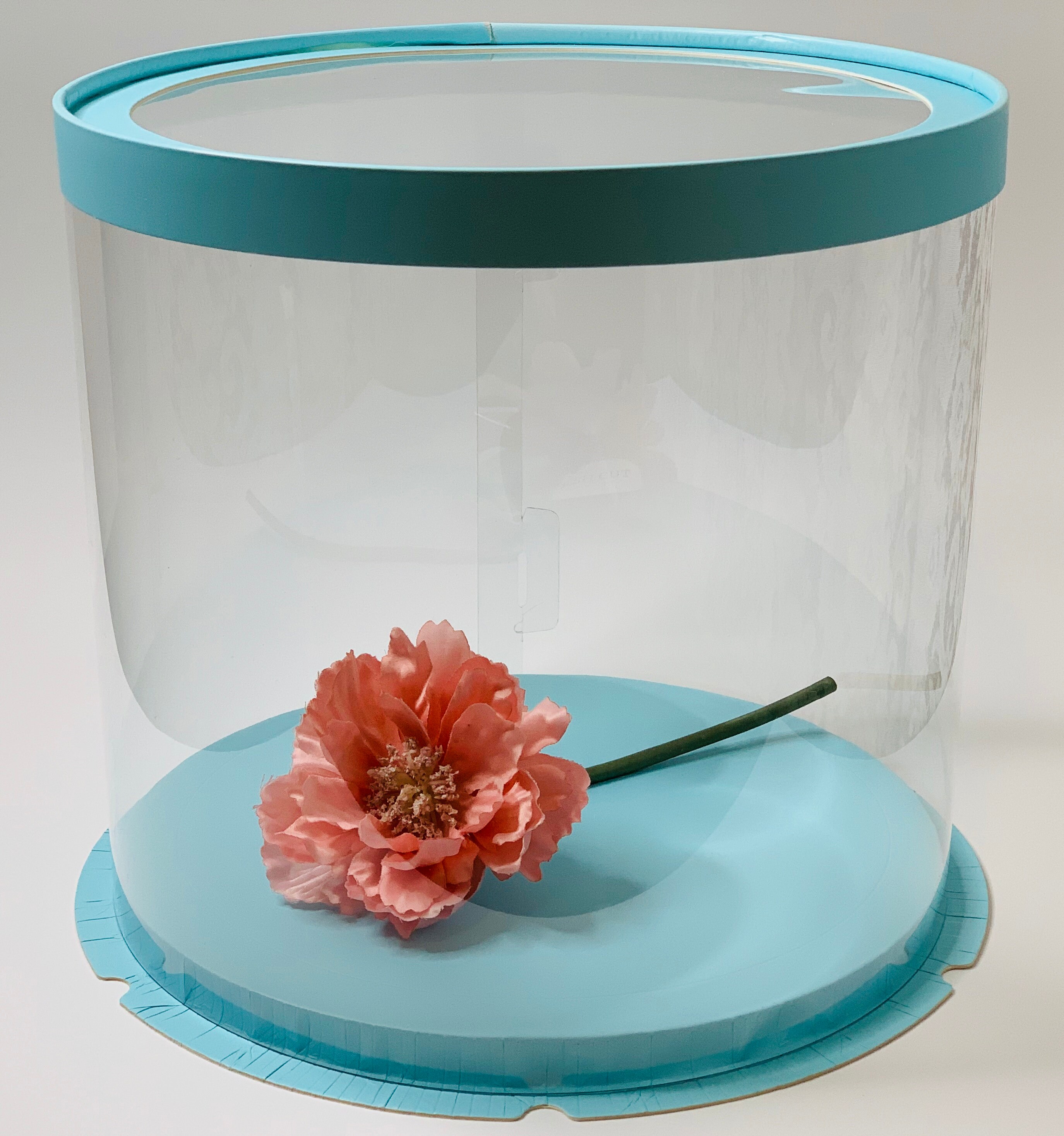 10 clear cake boxes bulk Round clear cake box9.5Height Etsy