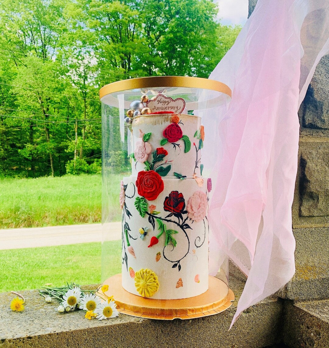 2 Sets Extra Tall Gold Round Clear Cake Boxes Big and Tall Clear Cake