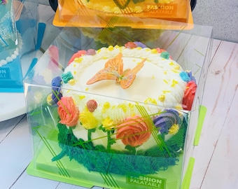 Clear Square Cake Box - 8.5"L x 8.5"W x 6.25" H - Green 8 Inch Cake Boxes with Window | Clear Gift Boxes