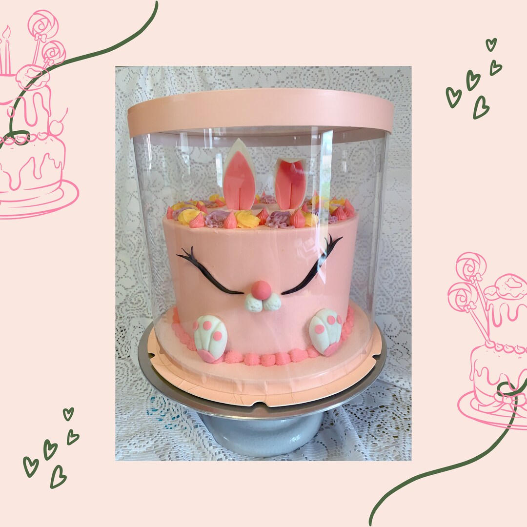 2 Sets Pink Tall Clear Cake Boxes Round Clear Cake Box 10 Diameter by