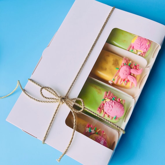 custom single popsicle cakesicle gift box