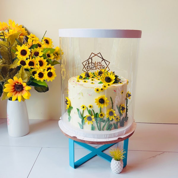 2 Sets White Tall Clear Cake Boxes - Round Clear Cake Box 10" Diameter by 12.5" Tall - Clear Gift Box for Birthday, Wedding, Holiday