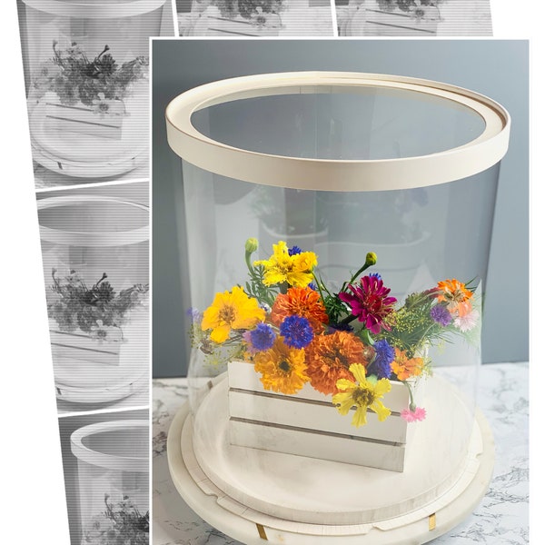 Large Round White Tall Clear Cake Box - 12" D x 13.5" H - Clear Cake Boxes for Tiered Cakes - White Clear Gift Box for Birthday, Wedding