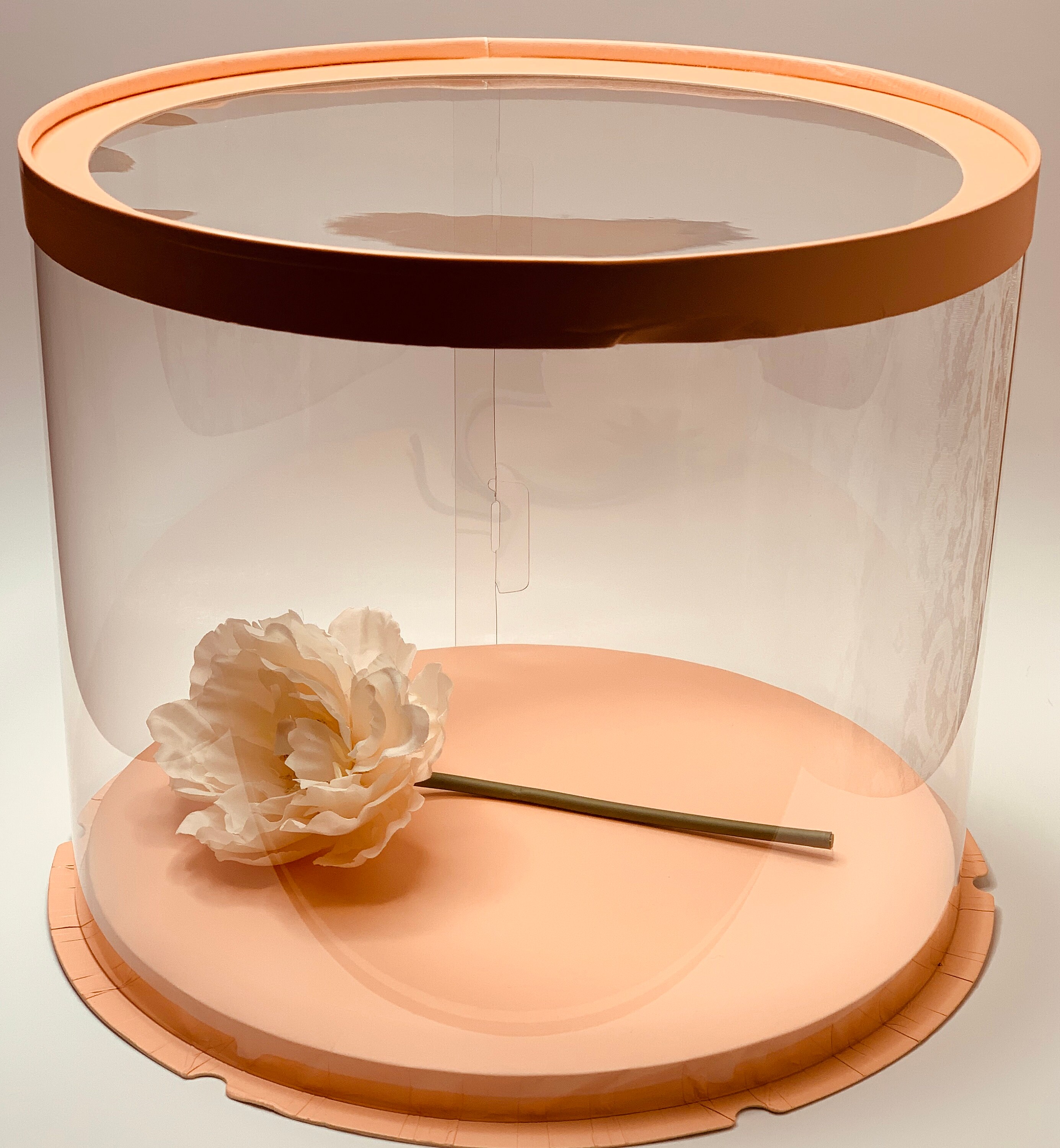 10 clear cake boxes bulk Round clear cake box9.5Height Etsy