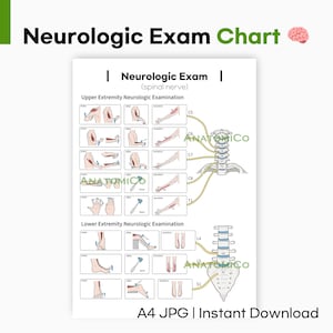 Tableau d'examen neurologique : affiche d'anatomie du nerf spinal (A4 JPG)