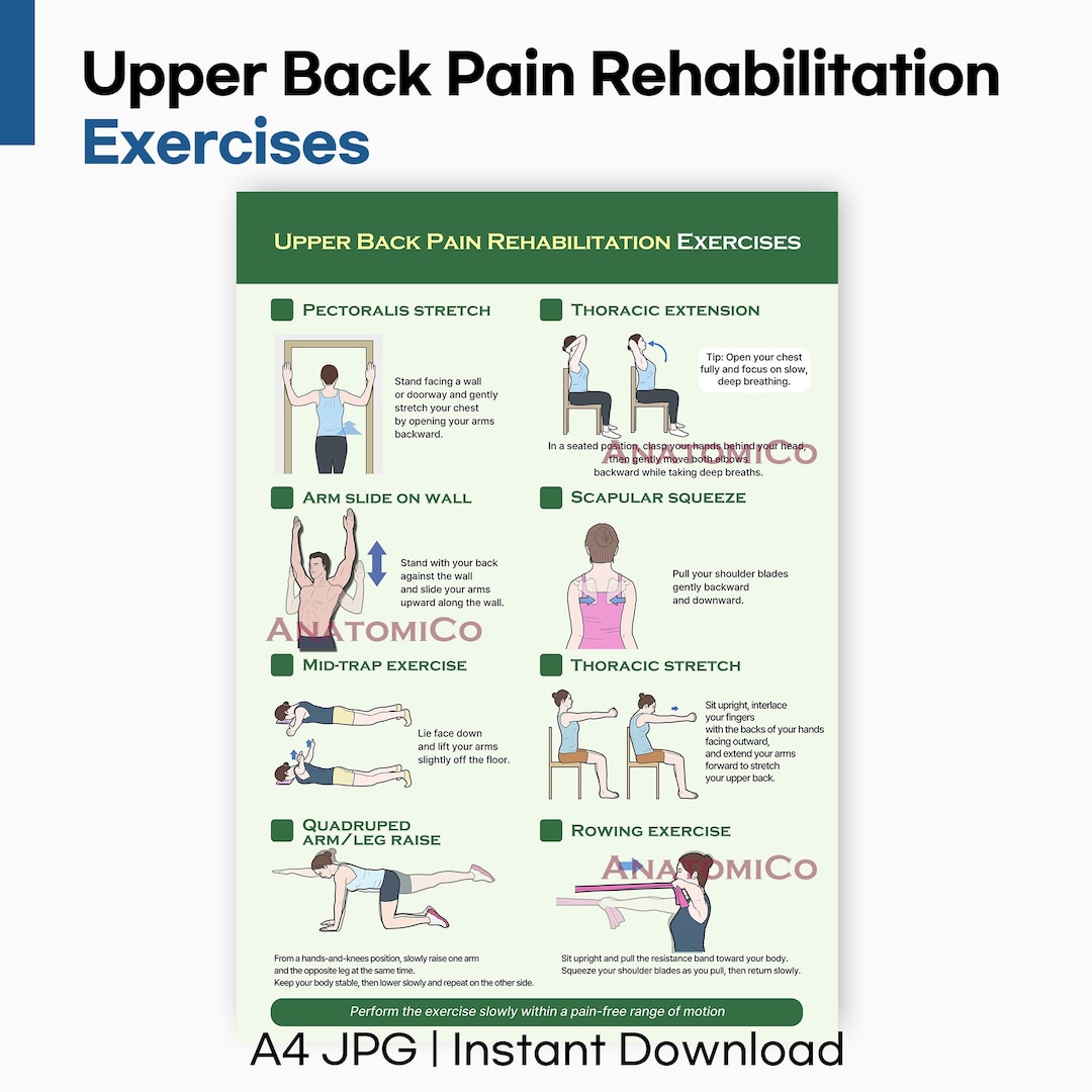 Upper Back Pain Relief Exercise Poster | Thoracic & Scapular Stretches ...