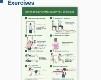 May include: A green poster titled "Upper Back Pain Rehabilitation Exercises" with exercise illustrations. The poster includes instructions for stretches like Pectoralis Stretch, Thoracic Extension, and Scapular Squeeze. Text at the bottom reads "A4 JPG | Instant Download".