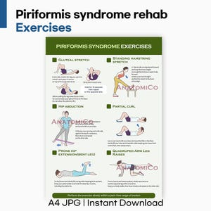 Pode incluir: Um cartaz verde e branco que detalha exercícios para a síndrome piriforme. O cartaz apresenta diagramas e instruções para alongamentos como alongamento glúteo e abdução da anca. O texto na parte inferior diz "A4 JPG | Instant Download".