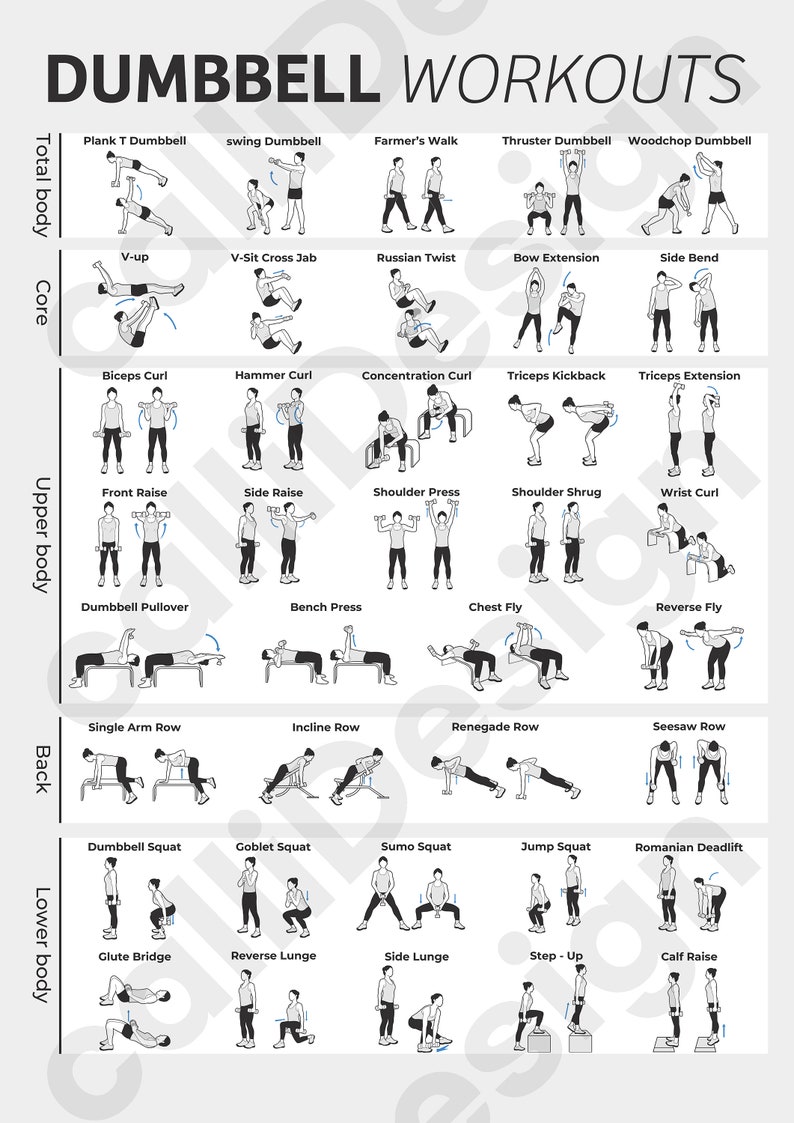 38 Types of Dumbbell Exercise Illustrations and 1 Type of Poster File