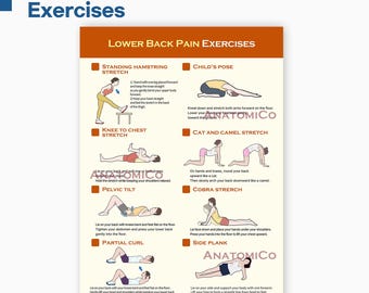 Lower Back Pain Relief Exercises | Physical Therapy Poster (A4 JPG)