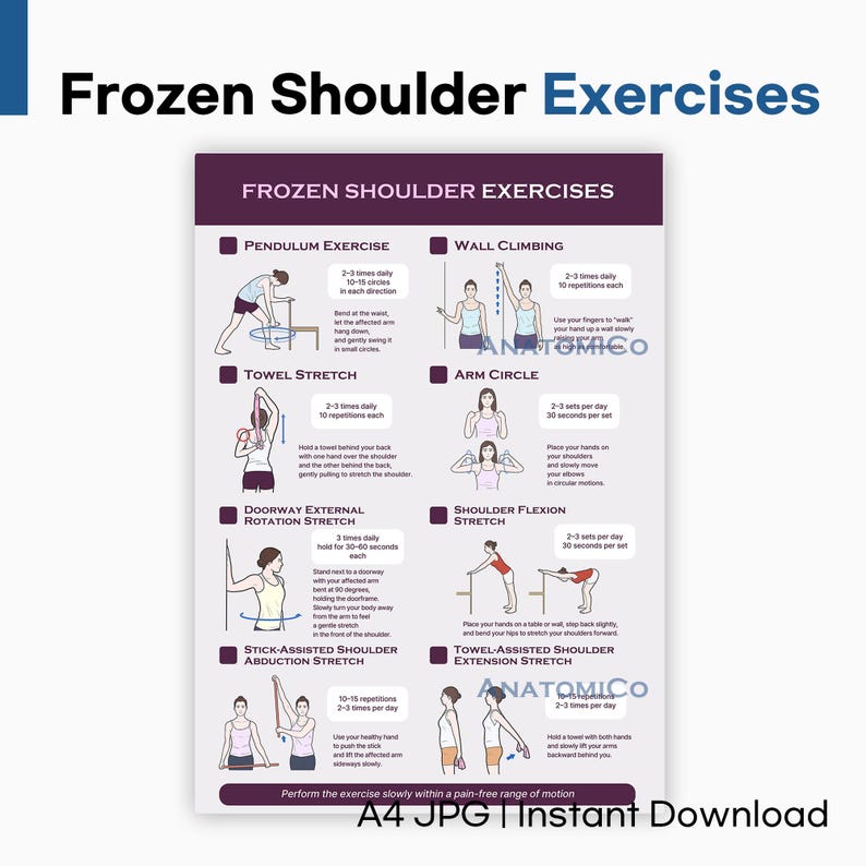 Printable Frozen Shoulder Stretch Poster | Gentle Rehab Exercises for Pain Relief – A4 Digital Download image 1