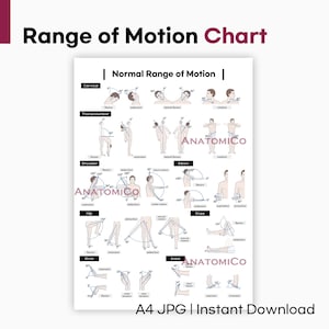 Tabella dell'ampiezza del movimento (A4 JPG) – Poster di riferimento ROM stampabile per terapia, esercizio e studio dell'anatomia