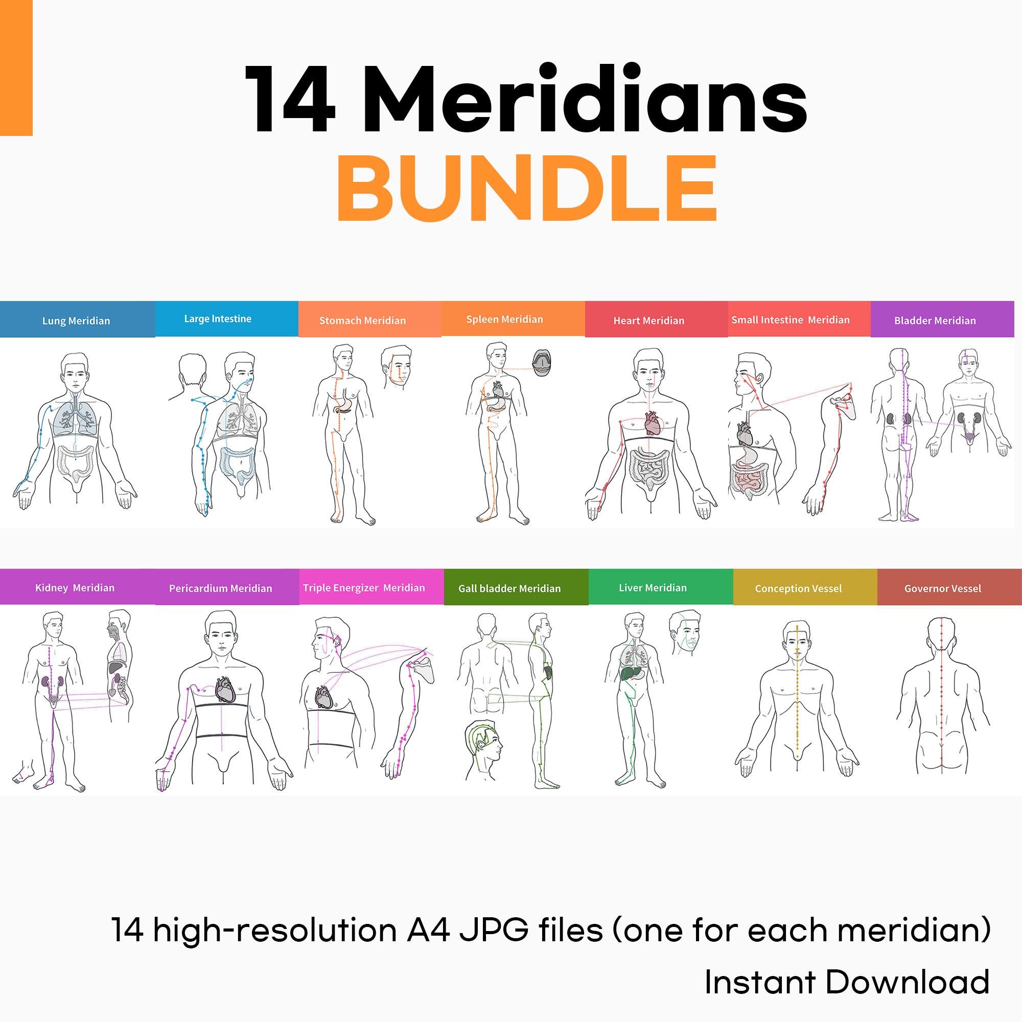 Meridian List 14 Meridians Illustration Bundle – A4 JPG Instant Download - Etsy