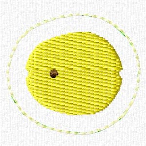 May include: A yellow embroidered patch in the shape of a lemon with a brown seed. The lemon is surrounded by a dotted circle. The patch is on a white background.