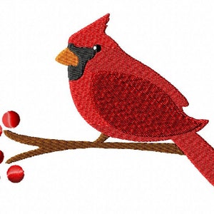 Puede incluir: Un pájaro cardenal rojo posado en una rama marrón con bayas rojas. El pájaro tiene un ojo negro y un pico negro.