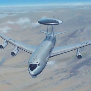 Limited Edition Lithograph &quot;Desert Sentry&quot;
