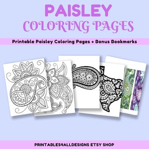 19 PAISLEY FLORAL Adult Coloring Pages Relaxation Therapy Printable Set of Coloring Pages For All Ages Texas California
