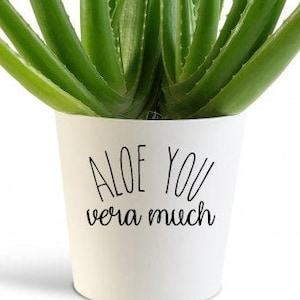 Aloë You Vera Veel Plant Pot Vinyl Sticker Aloë Vera Cute Pot Sticker Aloë Vera Sticker Plant Pun