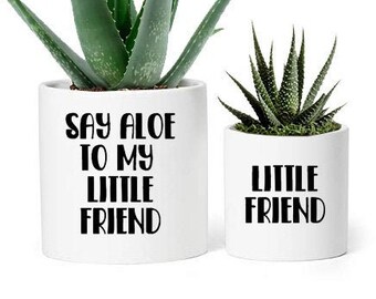 Say Aloe To My Little Friend Pot Decals for Aloe and Succulent Plant Pots | DIY Funny Plant Lady Sticker Decal