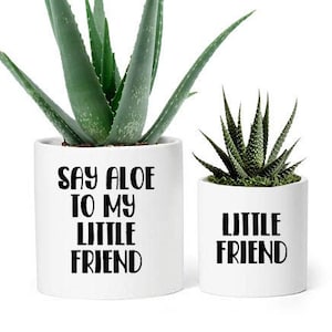 Puede incluir: Dos plantas en maceta, una de aloe vera y otra suculenta, en macetas cilíndricas blancas. La maceta más grande tiene el texto negro "SAY ALOE TO MY LITTLE FRIEND". La maceta más pequeña dice "LITTLE FRIEND".