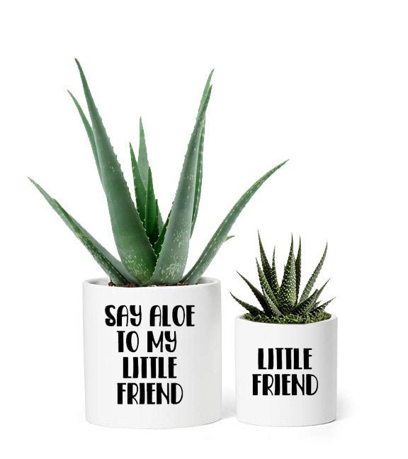 Say Aloe to My Little Friend Pot Decals for Aloe and Succulent Etsy