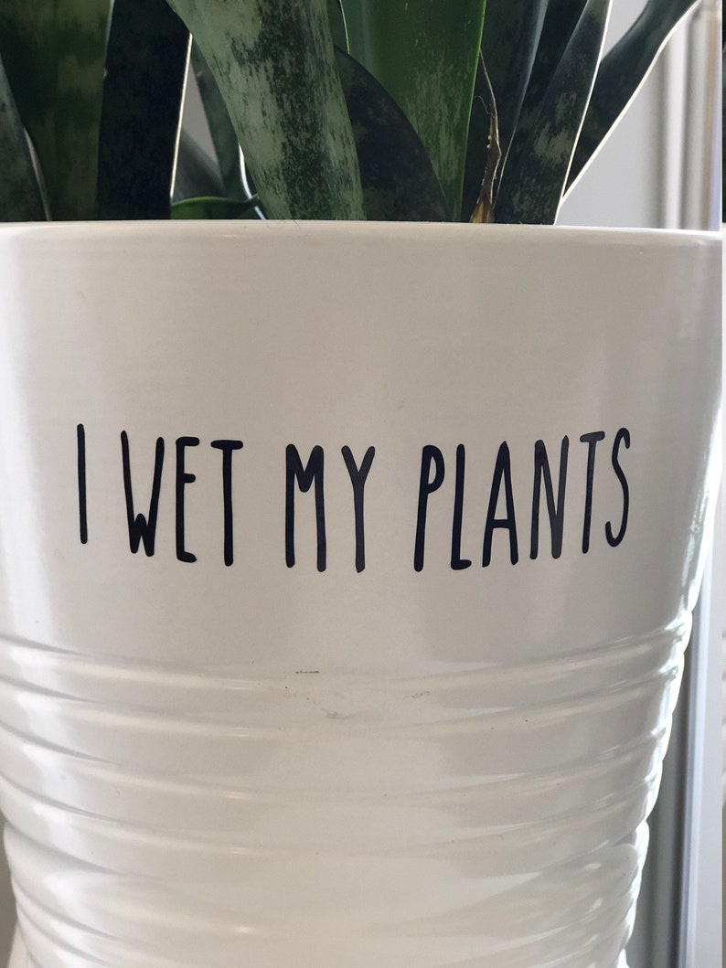 I Wet My Plants Pot Vinyl Decal Plant pot decal Cute Decal Etsy