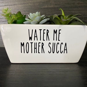Può includere: Una fioriera rettangolare bianca con la scritta "WATER ME MOTHER SUCCA" in nero. La fioriera contiene diverse piccole piante grasse verdi e verde chiaro. La fioriera è su una superficie scura.