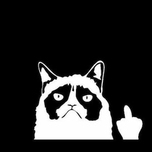 Może przedstawiać: Czarno-biała grafika zrzędliwego kota pokazującego środkowy palec na czarnym tle. Twarz kota jest szczegółowa z grymasem i zmrużonymi oczami, wyrażając poczucie dezaprobaty.