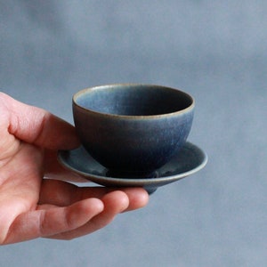 A cup and saucer / Eine Tasse und Untertasse -Prussian Blue Series-