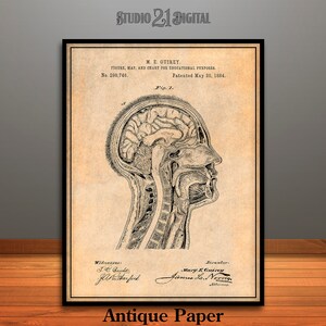 May include: A vintage anatomical illustration of the human head and neck, showing the brain, throat, and other internal structures. The image is in black and white and has a textured, antique paper background. The text on the image reads "M. E. GUIREY. FIGURE, MAP, AND CHART FOR EDUCATIONAL PURPOSES. No. 298,746. Patented May 20, 1884. Fig. 1."