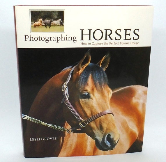 Vintage Horse Photography Guide: "Photographing Horses" by Lesli Groves
