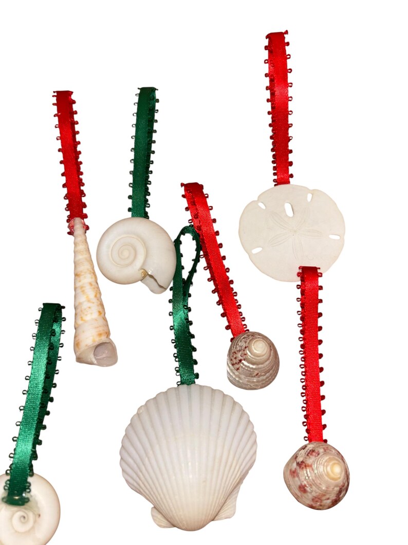 Shell With Ribbon 12 Vintage Shell Ornaments, Shell Ornaments, Seashell Ornaments ...