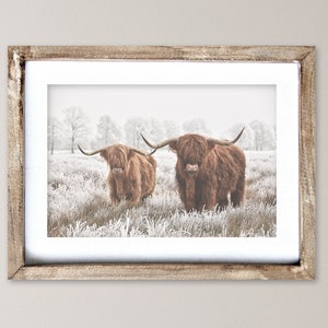 Highland Cow Print: Rustic Farmhouse Wall Decor (Digital Download)