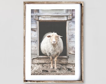 Sheep Wall Art Farmhouse Wall Art Country Print Neutral Farm Print Farmhouse Decor Sheep Poster Farmhouse Photography Sheep Wall Decor