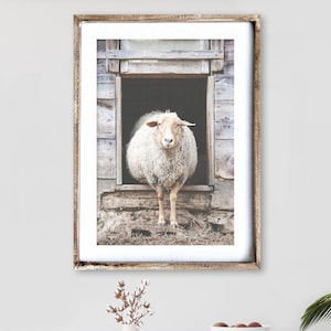 Sheep Wall Art Farmhouse Wall Art Country Print Neutral Farm Print Farmhouse Decor Sheep Poster Farmhouse Photography Sheep Wall Decor