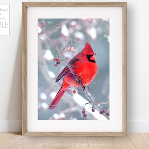 Red Cardinal Christmas Print, Merry Christmas Printable, Christmas Decor, Holiday Print Christmas Art, DIGITAL DOWNLOAD, Red Cardinal Print