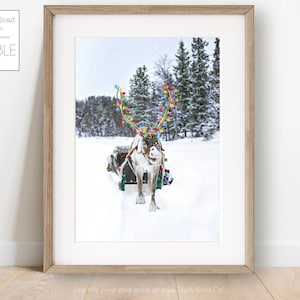 Reindeer Poster Winter Wall Nordic Christmas Santas Sleigh Instant Download Snow Covered Photo Modern Christmas Printable Scandinavian Art